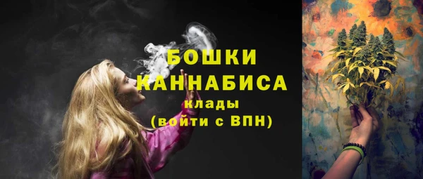 стаф Козельск