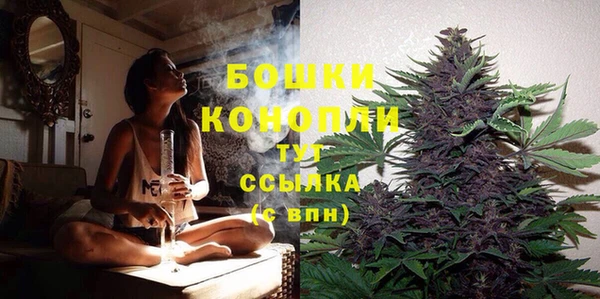 mdpv Козловка