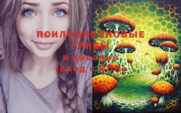 стаф Козельск
