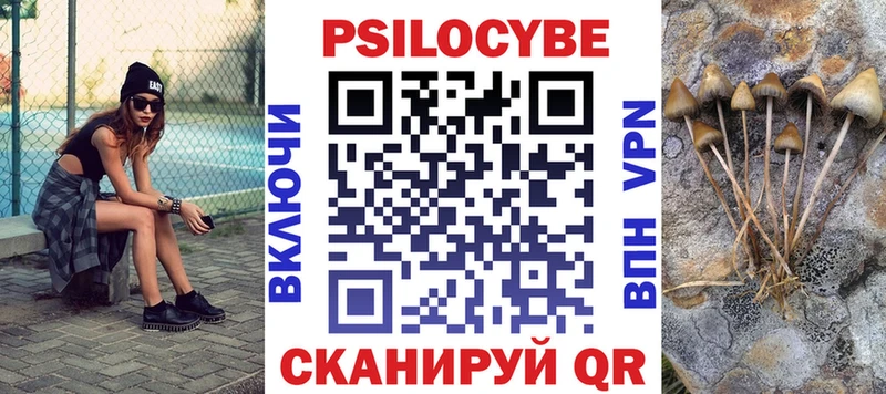 Псилоцибиновые грибы мухоморы  Купить где  Закаменск 